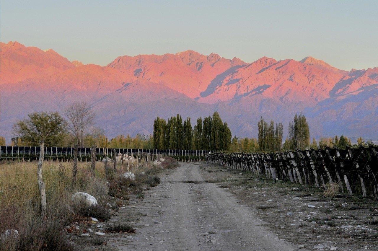 Bodegas Caro - Vinhedos e paisagem