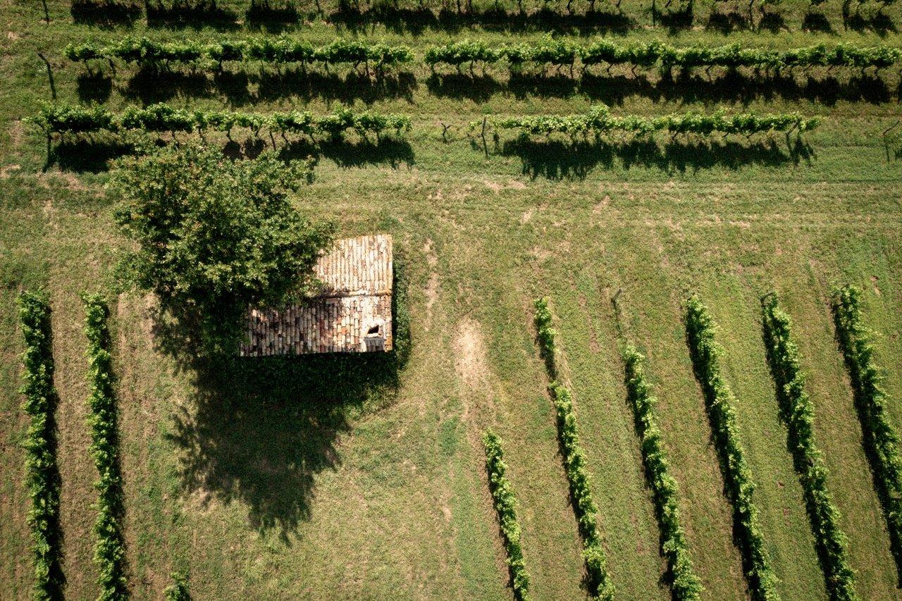 Château Paradis Casseuil - Vinhedos aéreos