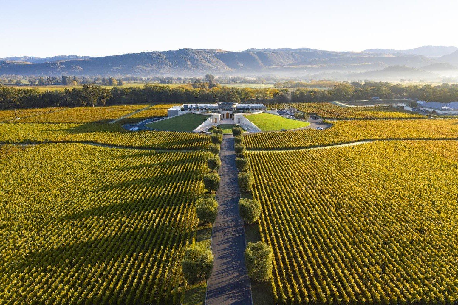 Banner do Opus One - Vinhedo e paisagem californiana