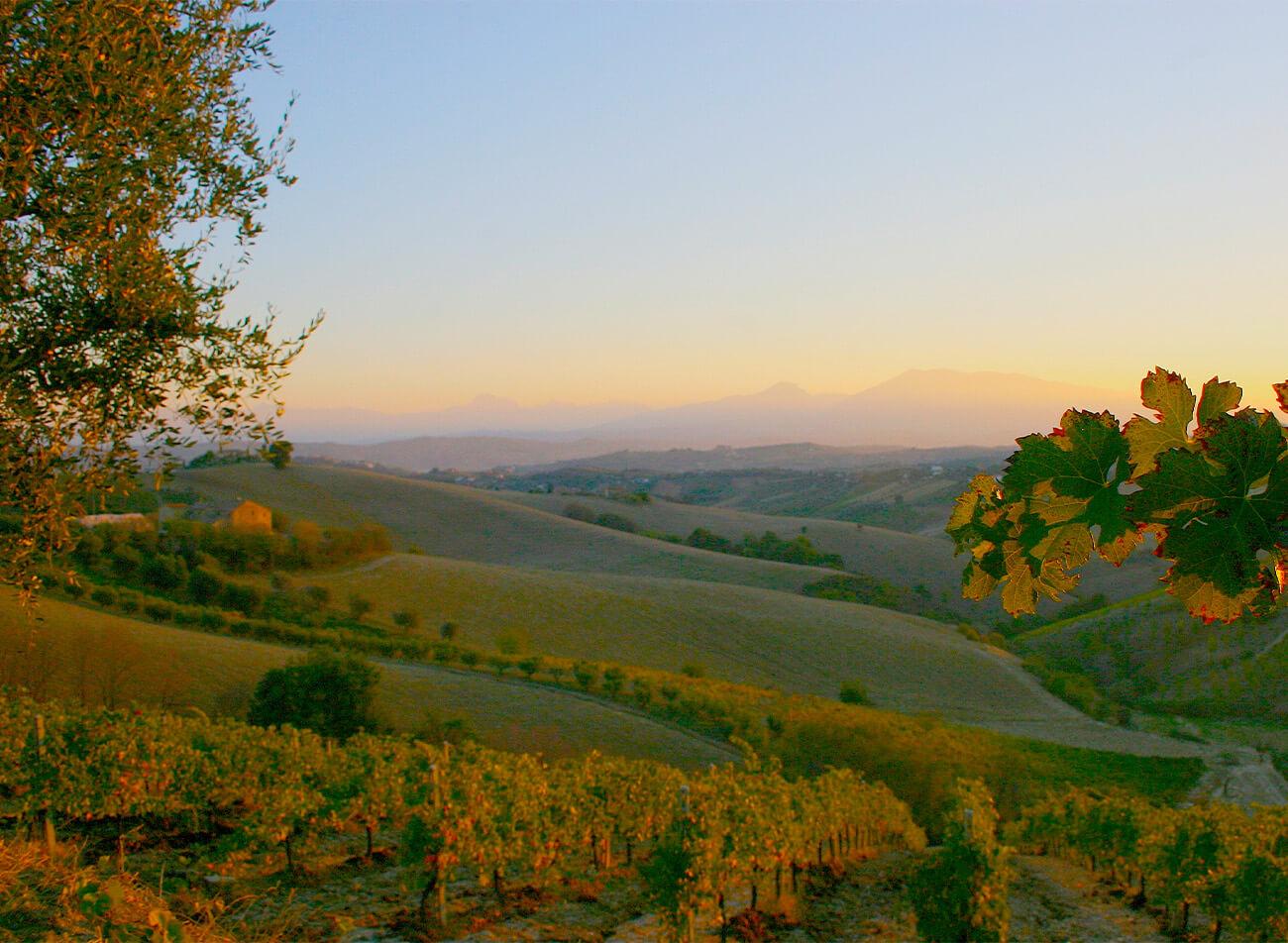 L'Oca Ciuca