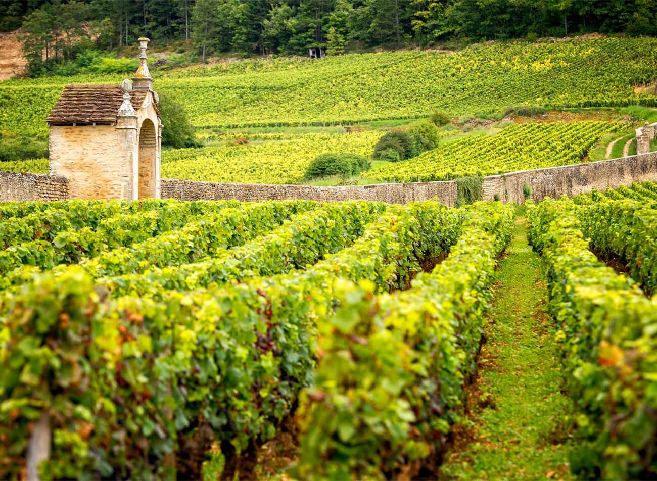 Domaine Robert Groffier