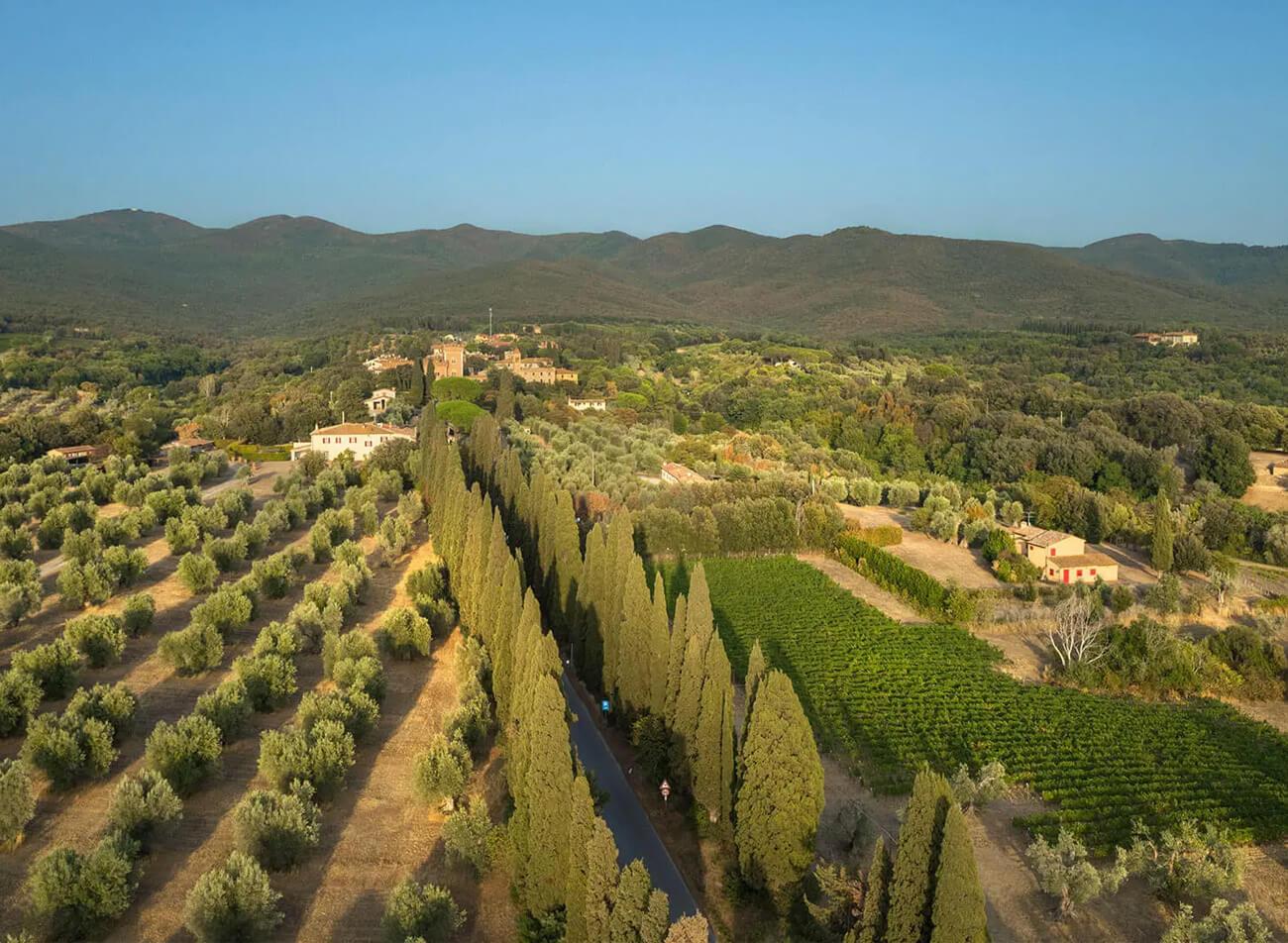 Ornellaia