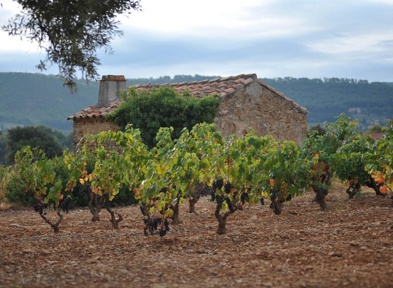 Château Vannières