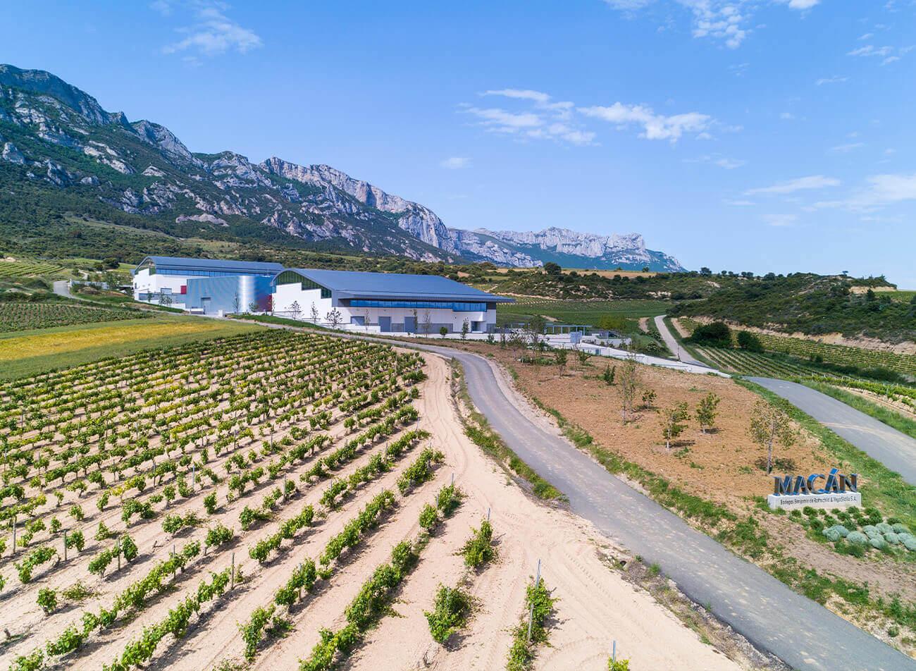Macán (Vega Sicilia & Rothschild)