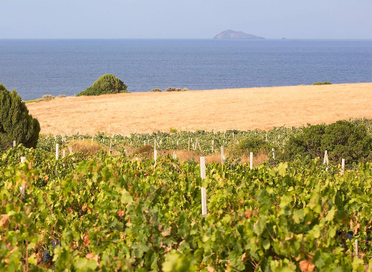 Sardegna