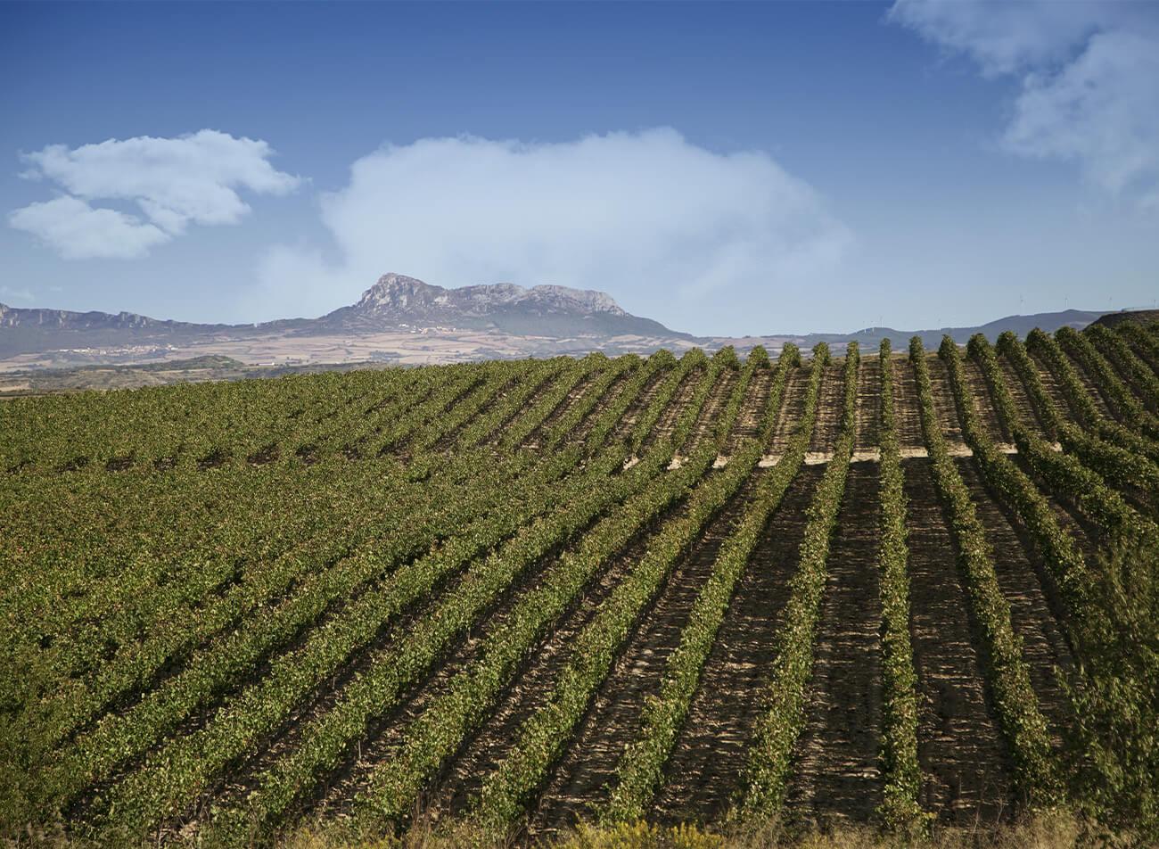 Castilla la Mancha