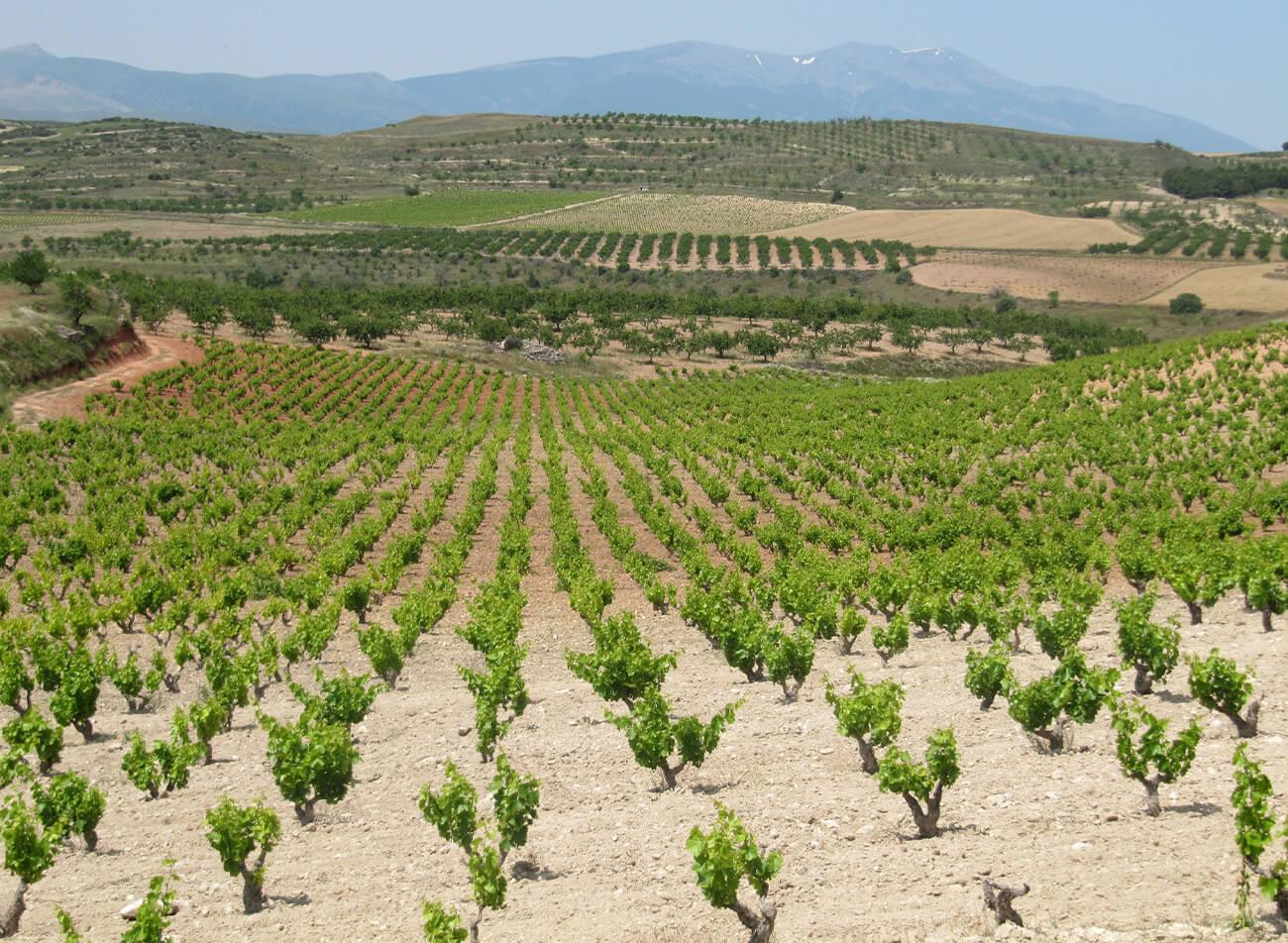 Aragón