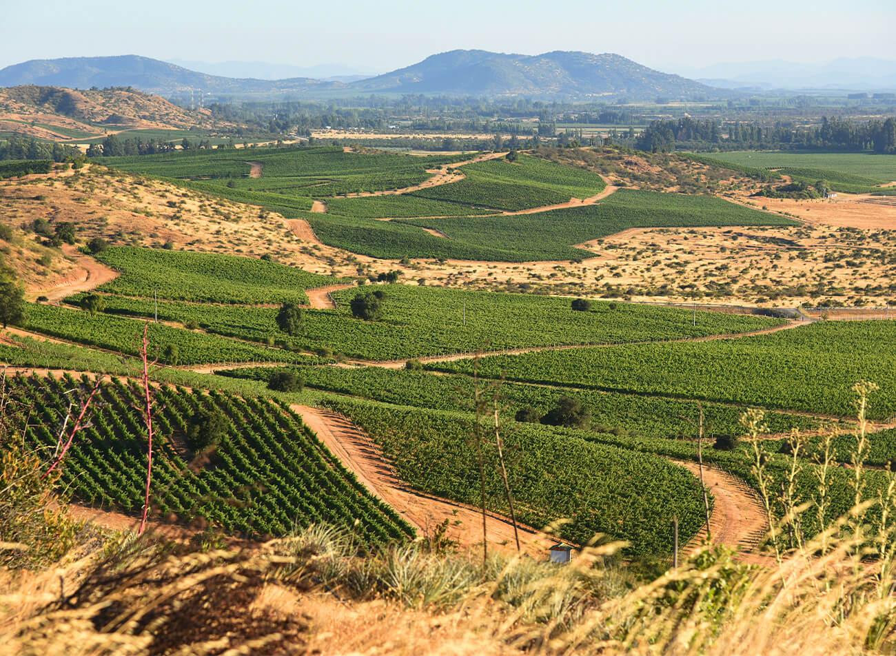 Valle de Colchagua