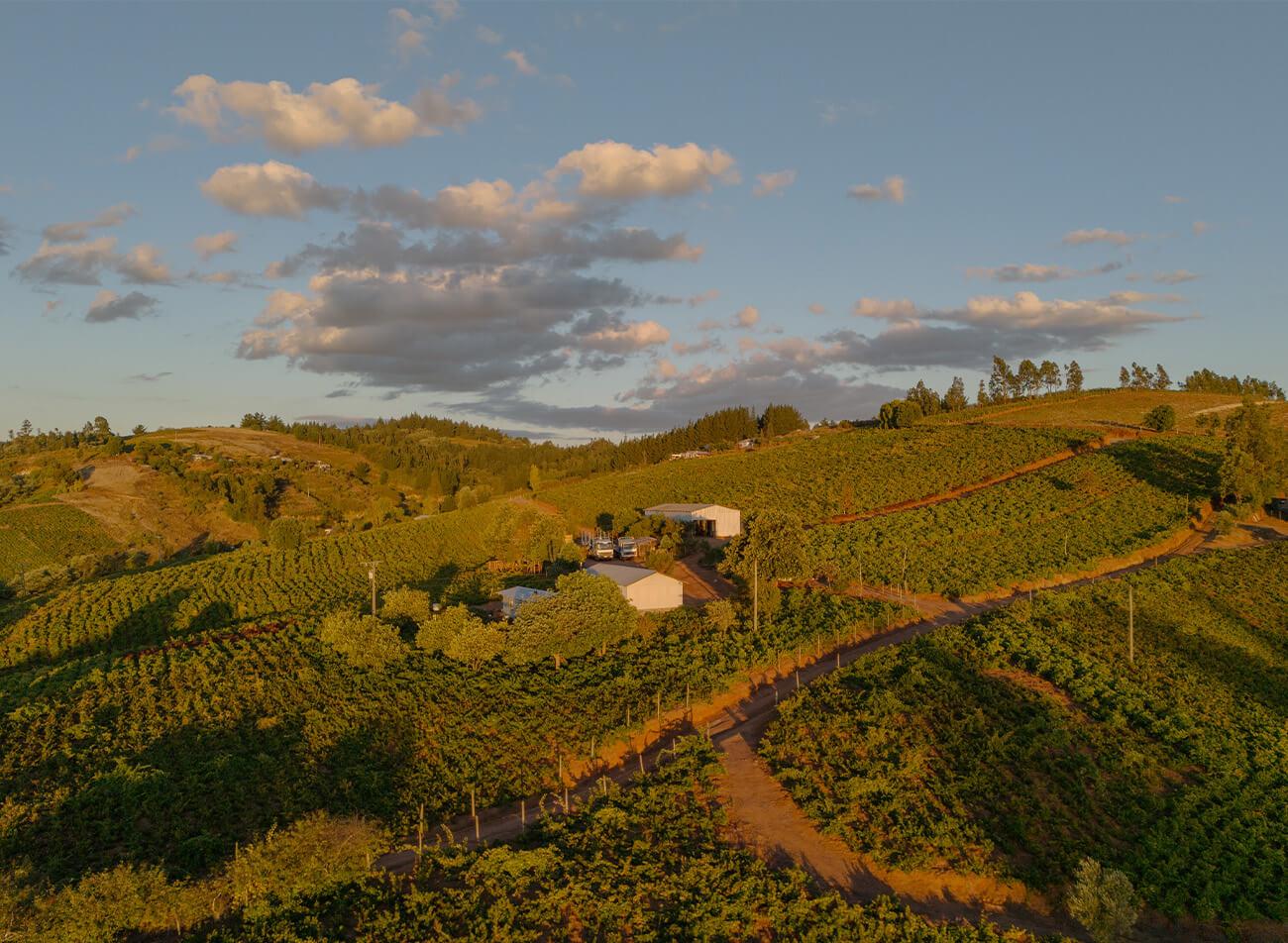 Valle del Itata