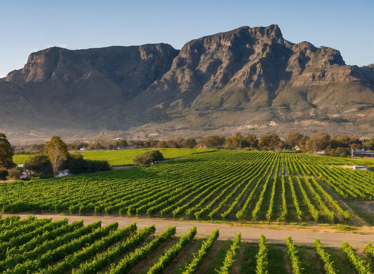 Western Cape