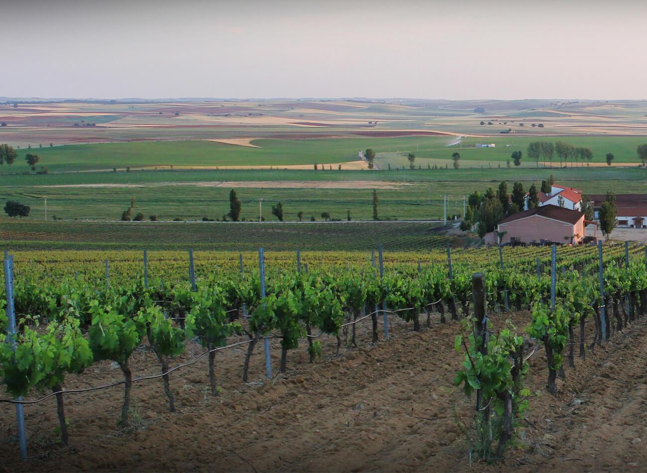 Ribera Del Duero