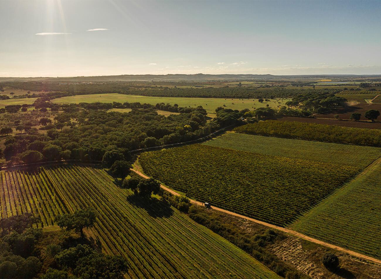 Alentejo