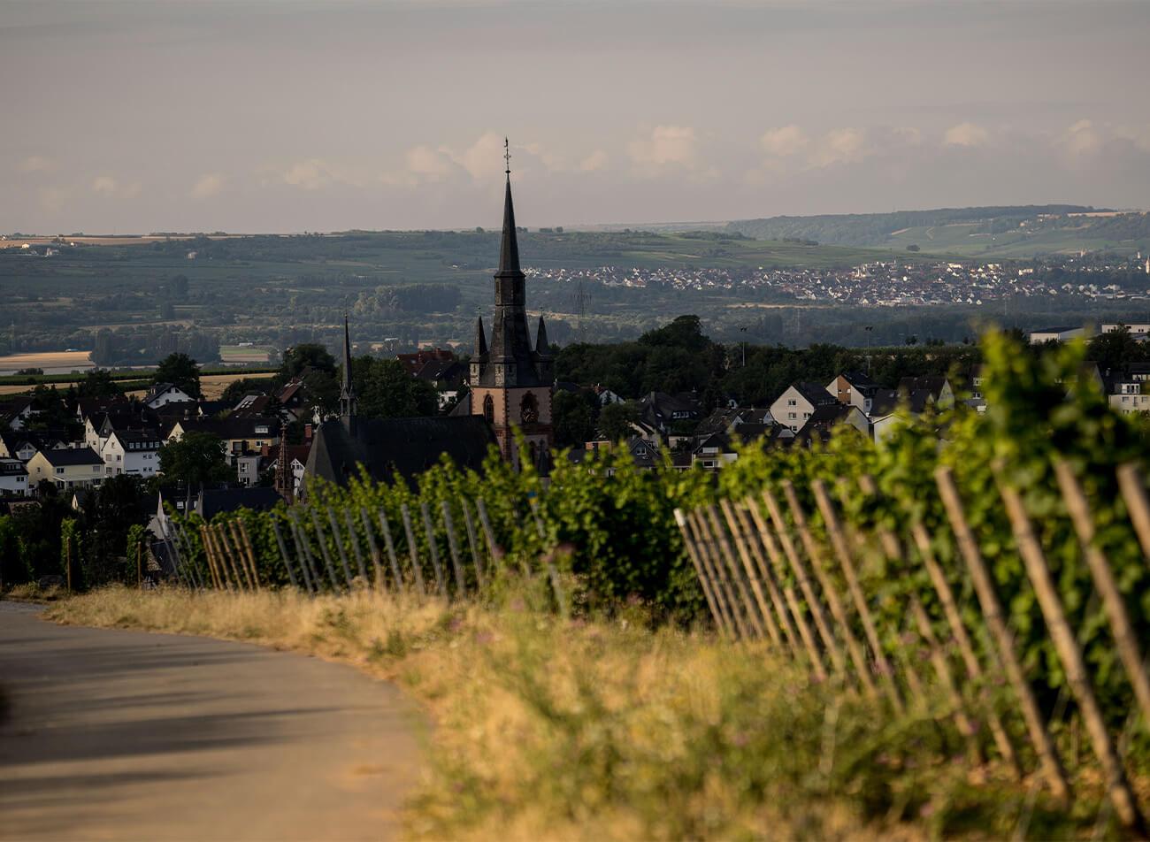 Rheingau