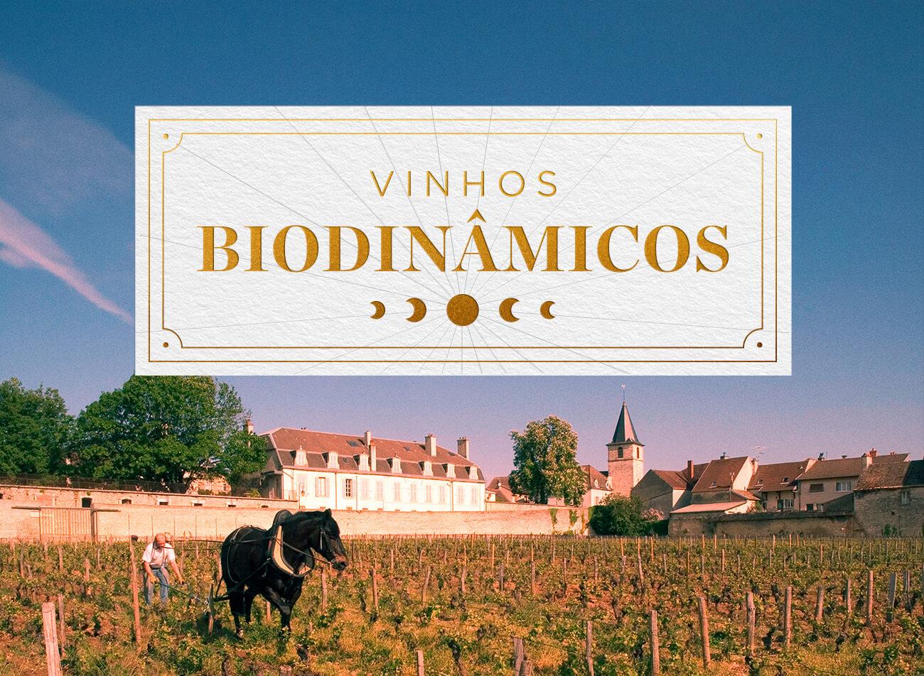 Biodinâmicos