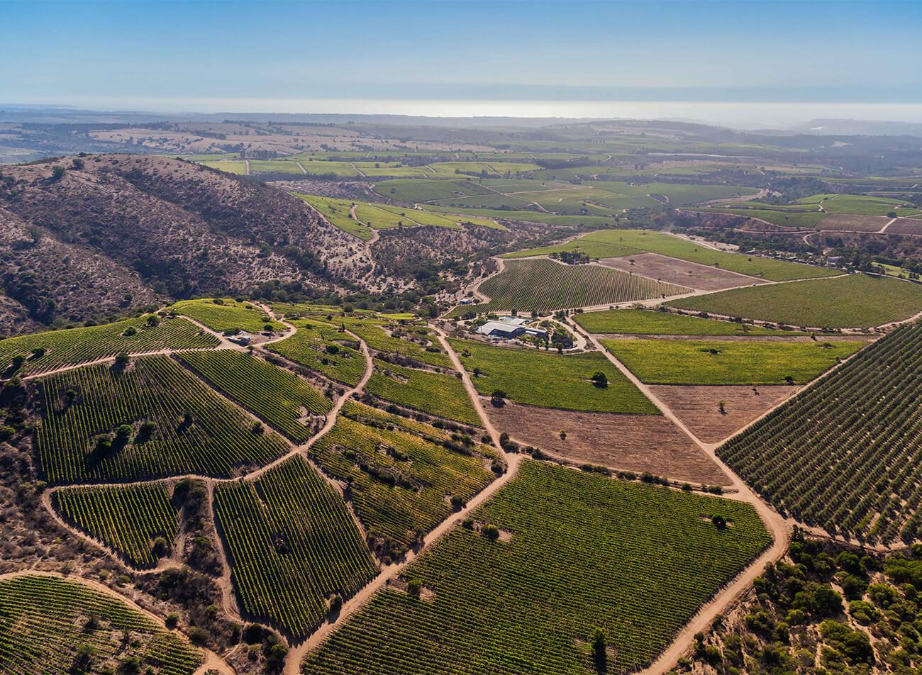 Valle Leyda